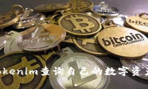 如何使用Tokenim查询自己的数字资产：全面指南