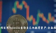 如何使用Tokenim查询自己的数字资产：全面指南