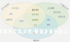 区块链技术的广泛应用：解锁未来的潜力与可能