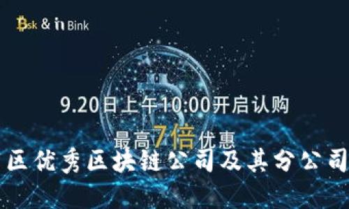 丰泽区优秀区块链公司及其分公司介绍