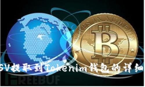 如何将BSV提取到Tokenim钱包的详细步骤指南