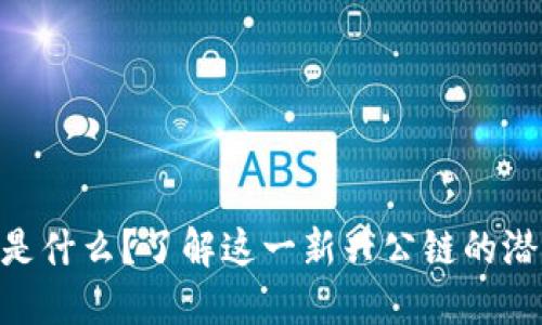 Tokenim是什么？了解这一新兴公链的潜力与特点