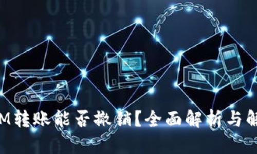 TokenIM转账能否撤销？全面解析与解决方案