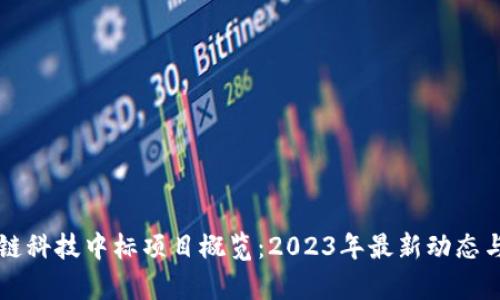 区块链科技中标项目概览：2023年最新动态与分析