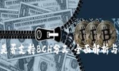 Tokenim是否支持BCH分叉：全