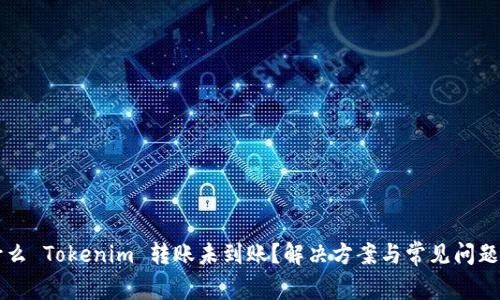 为什么 Tokenim 转账未到账？解决方案与常见问题解答