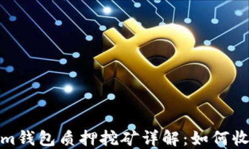 波卡Tokenim钱包质押挖矿详解:如何收益与安全性