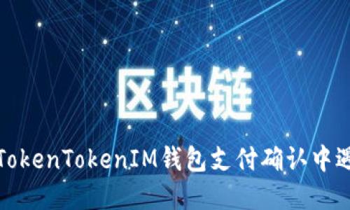 如何解决TokenTokenIM钱包支付确认中遇到的问题