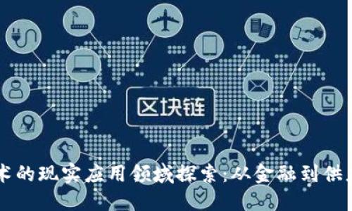 区块链技术的现实应用领域探索：从金融到供应链的革新