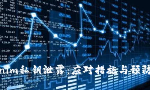 Tokenim私钥泄露：应对措施与预防建议