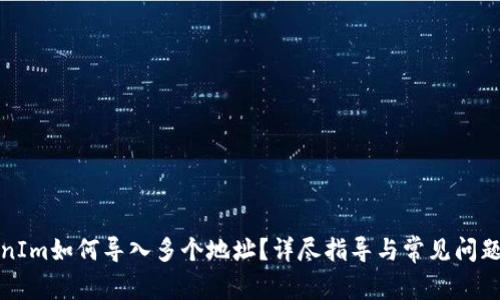 TokenIm如何导入多个地址？详尽指导与常见问题解答