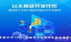 专家告诉你：Tokenim数字钱