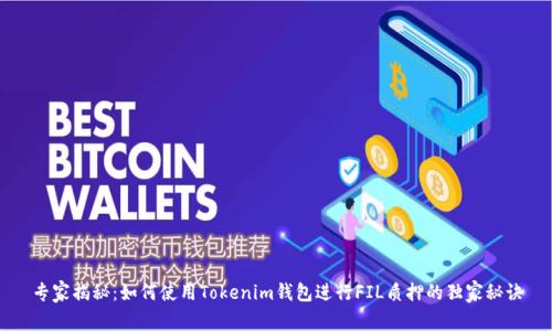 专家揭秘：如何使用Tokenim钱包进行FIL质押的独家秘诀