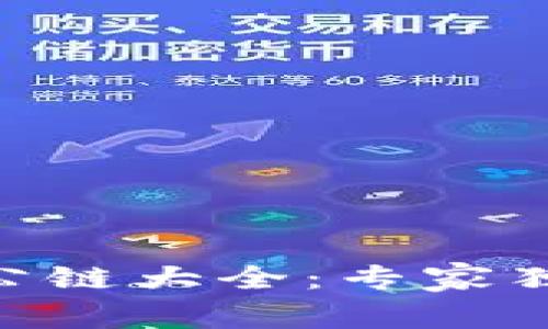 Tokenim支持的公链大全：专家独家揭秘投资秘诀