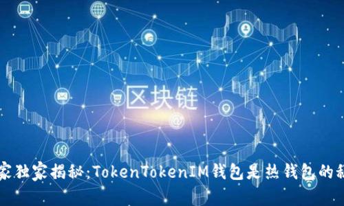 专家独家揭秘：TokenTokenIM钱包是热钱包的秘诀