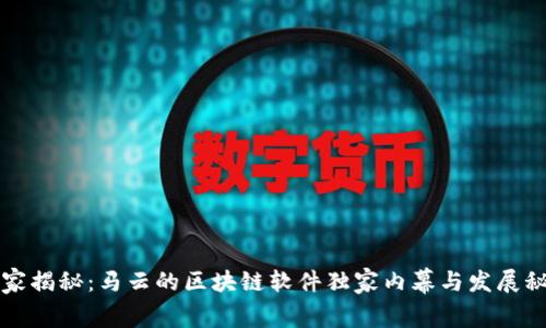 专家揭秘：马云的区块链软件独家内幕与发展秘诀