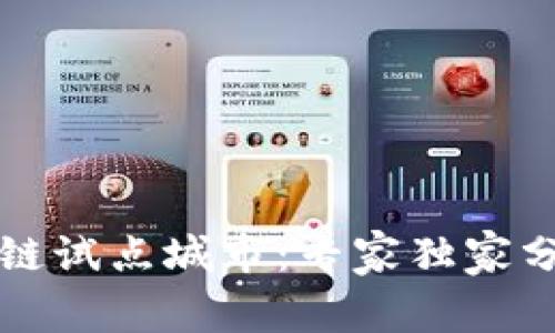 揭秘美国区块链试点城市：专家独家分析与秘诀分享