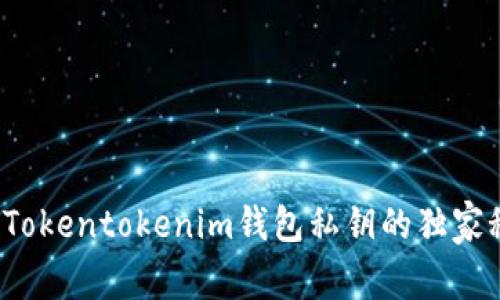 专家解析：Tokentokenim钱包私钥的独家秘诀与作用