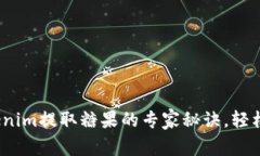 独家揭秘：Tokenim提取糖果