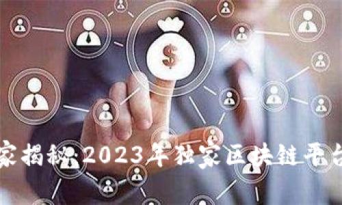 谷歌专家揭秘：2023年独家区块链平台全解析