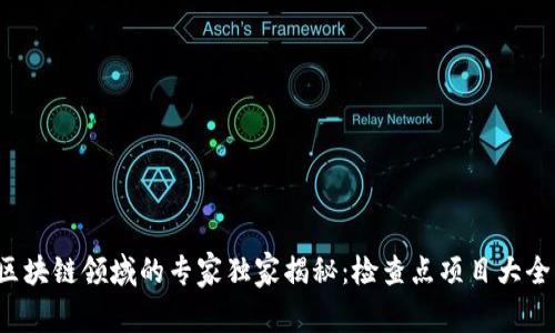 2023年区块链领域的专家独家揭秘：检查点项目大全及其秘笈