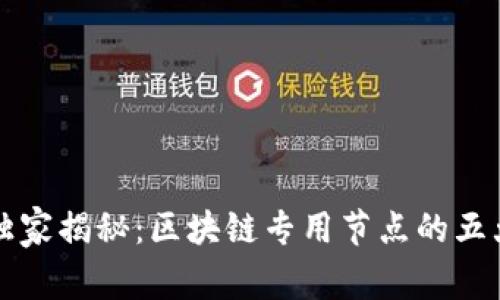 区块链专家独家揭秘：区块链专用节点的五大类型与秘诀