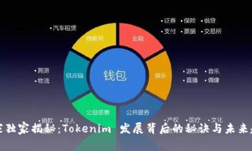 专家独家揭秘：Tokenim 发展背后的秘诀与未来趋势