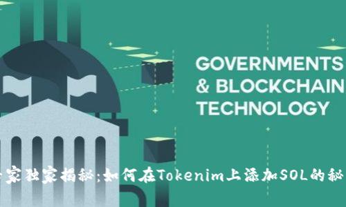 专家独家揭秘：如何在Tokenim上添加SOL的秘诀