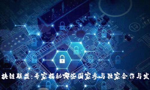 全球区块链联盟：专家揭秘哪些国家参与独家合作与发展秘诀