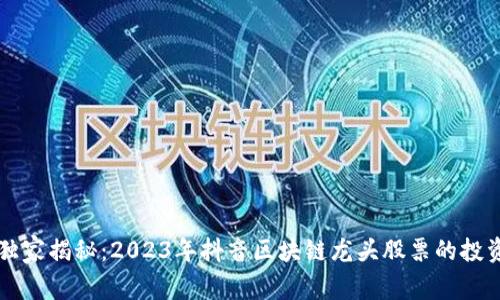 专家独家揭秘：2023年抖音区块链龙头股票的投资秘诀