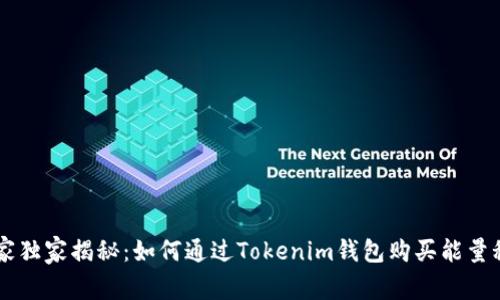 专家独家揭秘：如何通过Tokenim钱包购买能量秘笈
