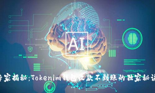 专家揭秘：Tokenim钱包收款不到账的独家秘诀！