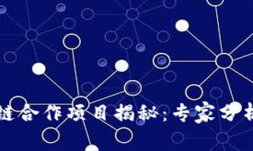 蚂蚁区块链合作项目揭秘：专家分析独家秘诀