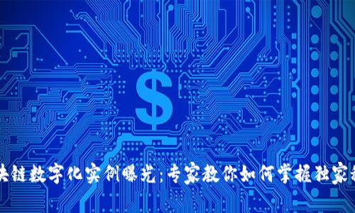 区块链数字化实例曝光：专家教你如何掌握独家秘诀