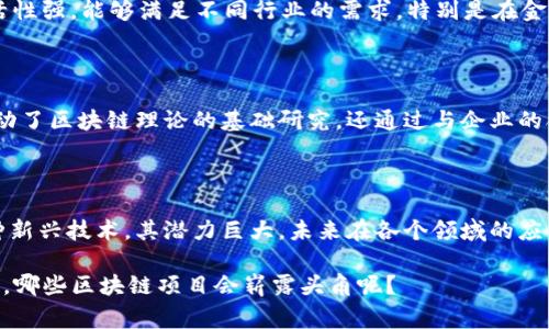 在国内，随着区块链技术的迅速发展，涌现出了一大批著名的区块链项目。这些项目在各个领域都发挥了重要作用，推动了区块链技术的普及与应用。接下来，我们将详细介绍几个较为知名的区块链项目。虽然国家的政策环境在不断变化，但这些项目仍然为国内外的区块链生态系统带来了深远影响。

1. 比特大陆（Bitmain）

说到区块链，首先不得不提的就是比特大陆。比特大陆成立于2013年，是全球领先的区块链技术公司之一，尤其以其生产的矿机而闻名。比特大陆开发的Antminer矿机，几乎主导了全球比特币挖矿的市场。随着比特币的崛起，比特大陆的业务也迅速扩展。除了矿机生产外，他们还发展了Hashnet和矿池等相关业务，形成了完整的挖矿生态链。

2. 火币网（Huobi）

火币网成立于2013年，是中国最早的一批数字资产交易平台之一。它不仅为用户提供了安全、便捷的交易服务，还积极参与区块链技术的创新和应用。火币的用户遍布全球，平台支持多种数字资产的交易。在行业合规方面，火币也做了大量的工作，努力提升自己的品牌形象和用户信任度。

3. OKEx

OKEx可以说是另一个国内颇具影响力的数字资产交易平台。它成立于2017年，致力于为全球用户提供安全的数字资产交易和金融服务。OKEx不仅支持现货交易，还有期货和杠杆交易等多种金融衍生品，满足了不同用户的需求。此外，OKEx还推出了自己的链OKChain，进一步推动了区块链技术的发展。

4. 联盟链：京东、阿里巴巴、腾讯

在国内的区块链应用方面，京东、阿里巴巴和腾讯等互联网巨头也都在积极布局区块链技术。京东推出的“京东链”，通过区块链技术提升供应链的透明度和可追溯性。阿里巴巴则通过“蚂蚁链”在金融、物流等领域展开探索，推动了区块链在实际应用中的落地。而腾讯也通过“腾讯云”推出了区块链服务平台，支持企业和开发者进行区块链项目的开发与部署。

5. NEO（小蚁）

NEO成立于2014年，是一个基于区块链平台的开源项目，常常被称为“中国的以太坊”。NEO旨在构建一个智能经济体，它支持多种编程语言，让开发者可以更加便捷地在其平台上构建和部署智能合约。NEO的特点是高效、可扩展，已经吸引了大量的开发者和项目方的关注。

6. Ontology（本体）

Ontology成立于2017年，致力于为企业提供高效的区块链基础设施，它可以连接公共链和联盟链，提供数据隐私保护和身份认证等服务。本体的特点是灵活性强，能够满足不同行业的需求，特别是在金融、物流、医疗等领域已经有多个成功案例。

7. 区块链技术创新中心

随着区块链技术的发展，各大高校和研究机构纷纷加入了这个领域。中国科学院、北京大学、清华大学等等，都在积极开展区块链的研究与应用。他们不仅推动了区块链理论的基础研究，还通过与企业的合作，将理论付诸实践，助力行业的发展。

总结

以上就是国内一些著名的区块链项目。这些项目在不同的领域都有突出表现，不仅推动了技术的进步，也为市场的繁荣做出了贡献。可以说，区块链作为一种新兴技术，其潜力巨大，未来在各个领域的应用将更加广泛。

当然，行业在快速发展的同时，也面临着监管、技术、安全等多方面的挑战。在这种情况下，保持技术创新和合规运营将是项目持续发展的关键。你觉得在未来，哪些区块链项目会崭露头角呢？