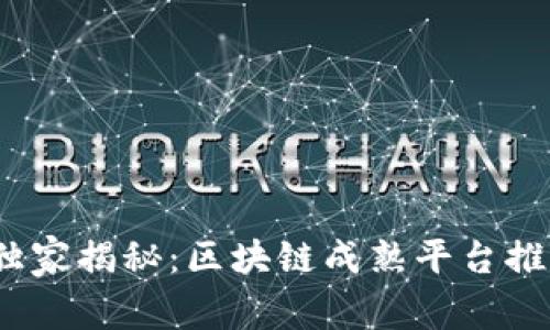 2023年专家独家揭秘：区块链成熟平台推荐及使用秘诀