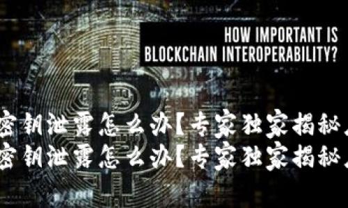 tokenim密钥泄露怎么办？专家独家揭秘应对秘诀！
tokenim密钥泄露怎么办？专家独家揭秘应对秘诀！