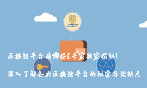 区块链平台有哪些？专家独家揭秘！

深入了解各大区块链平台的秘密与优缺点