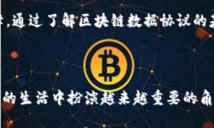   区块链数据协议全面解析