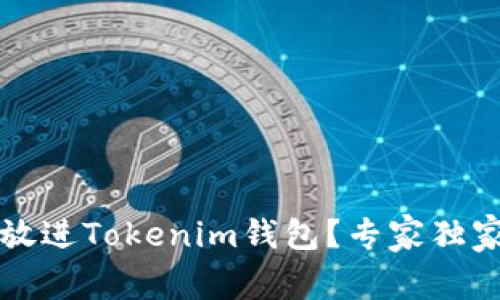 如何将币放进Tokenim钱包？专家独家秘诀分享