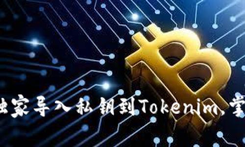 专家揭秘：如何独家导入私钥到Tokenim，掌握财富管理秘诀