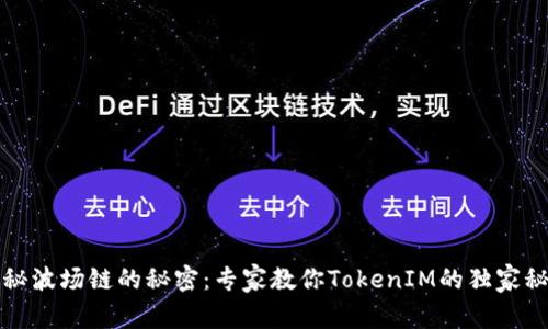 揭秘波场链的秘密：专家教你TokenIM的独家秘诀