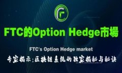 专家揭示：区块链系统的