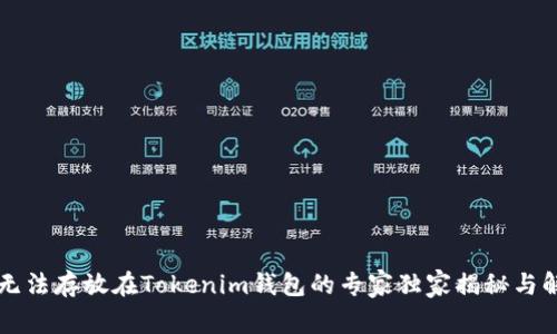 瑞波币无法存放在Tokenim钱包的专家独家揭秘与解决办法