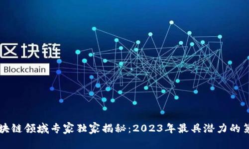 全球区块链领域专家独家揭秘：2023年最具潜力的第一股票