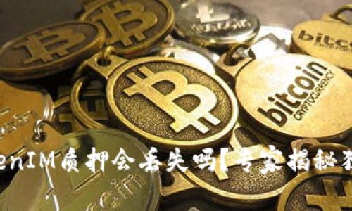 波卡TokenIM质押会丢失吗？专家揭秘独家秘诀！