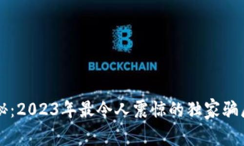 区块链专家揭秘：2023年最令人震惊的独家骗局和背后的秘密