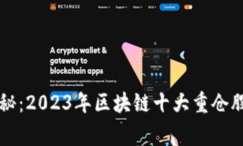 专家独家揭秘：2023年区块链十大重仓股及投资秘诀