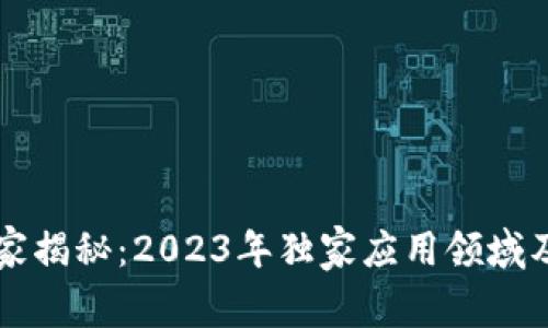 区块链专家揭秘：2023年独家应用领域及行业秘诀