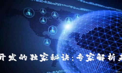 区块链电商开发的独家秘诀：专家解析未来发展方向